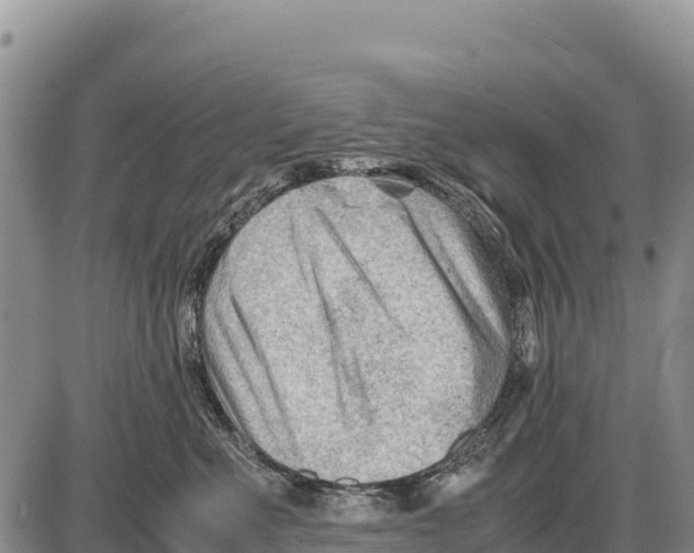 X0000086290523200704271805