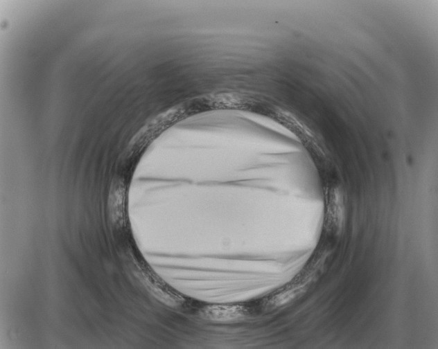 X0000086290526200704271805