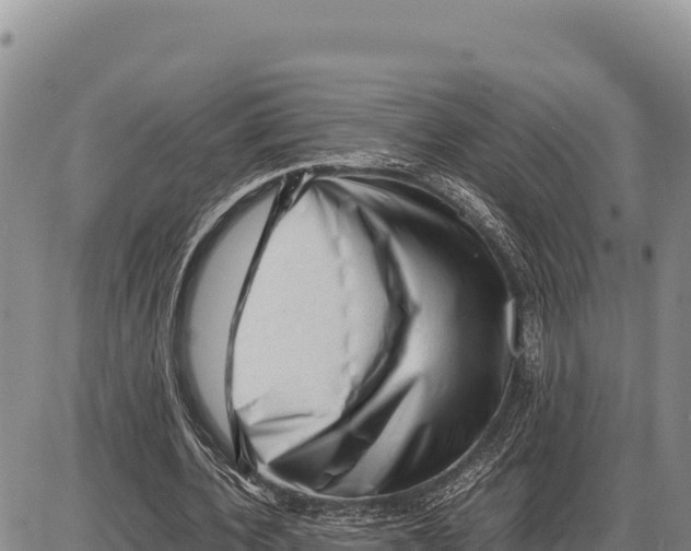 X0000086290532200704271804