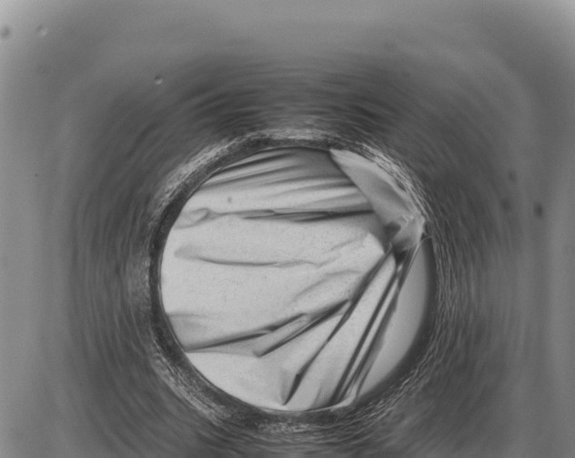 X0000086290535200704271804
