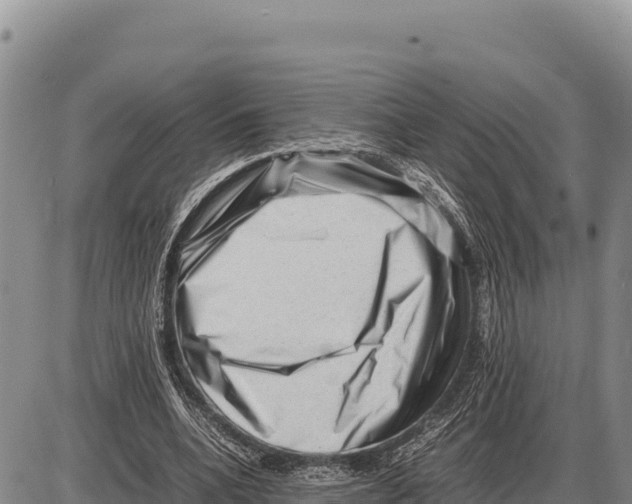 X0000086290536200704271804