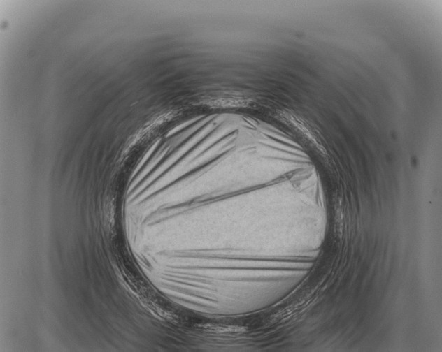 X0000086290539200704271804