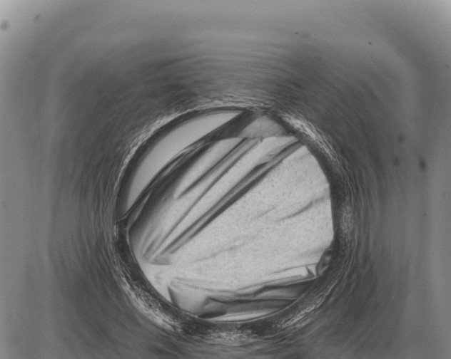 X0000086290540200704271804