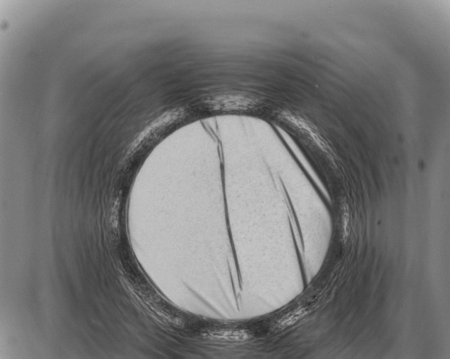 X0000086290543200704271804