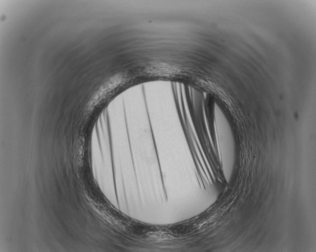 X0000086290544200704271804
