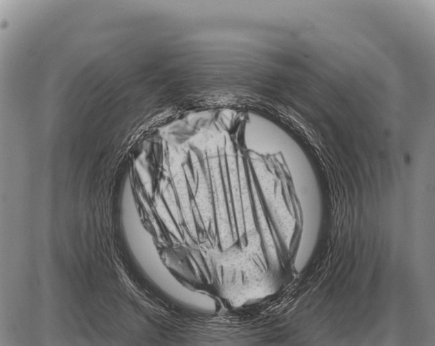 X0000086290546200704271804