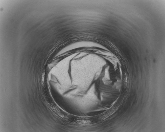 X0000086290552200704271805