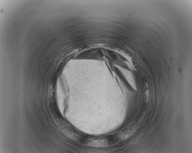 X0000086290555200704271805