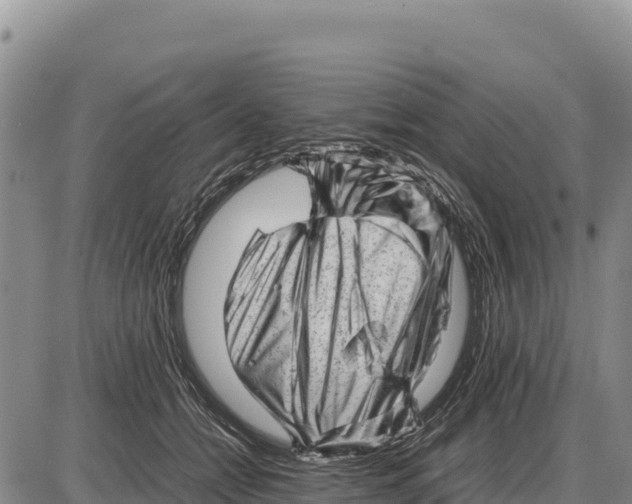 X0000086290558200704271805