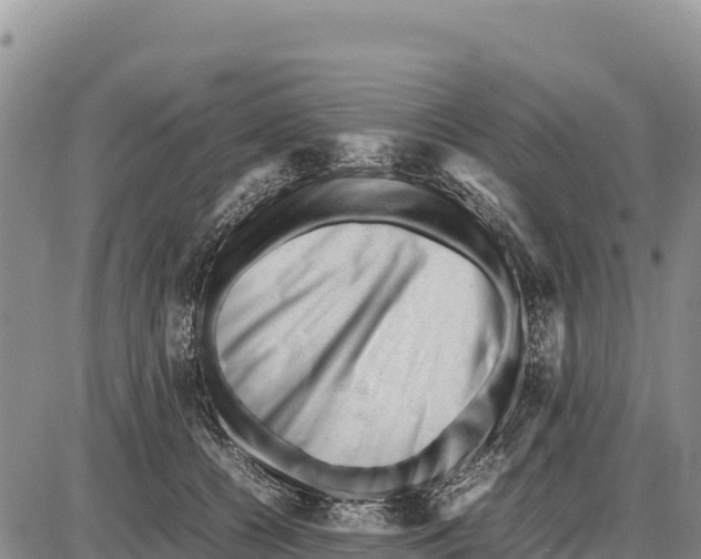 X0000086290560200704271805
