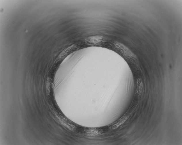 X0000086290562200704271805
