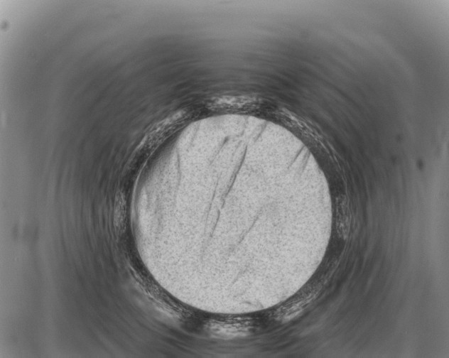 X0000086290563200704271805
