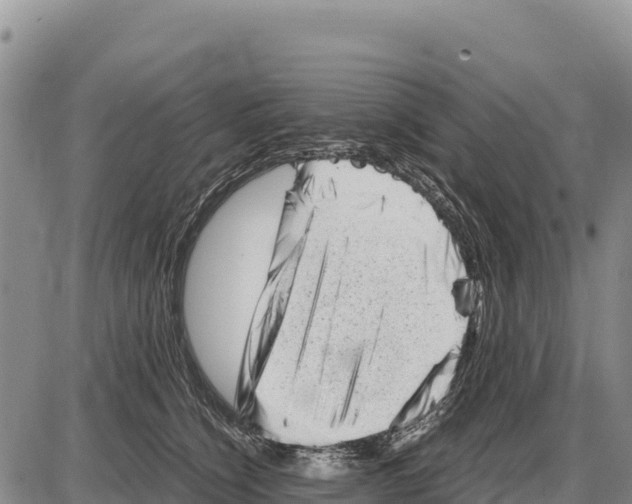 X0000086290564200704271805