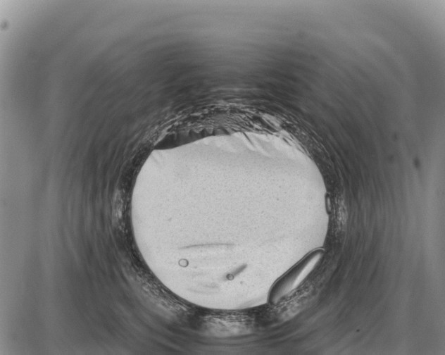 X0000086290567200704271805