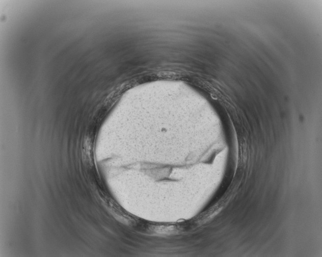 X0000086290575200704271805