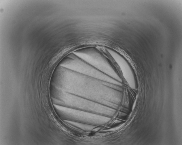 X0000086290577200704271804