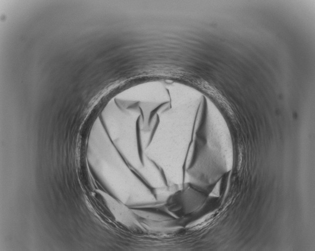X0000086290580200704271804