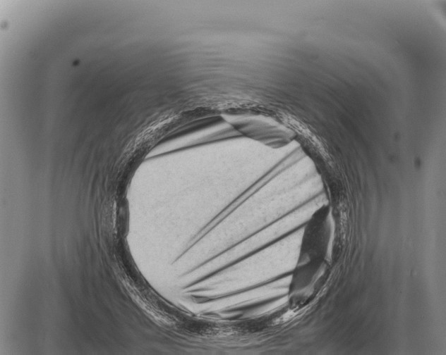 X0000086290589200704271804