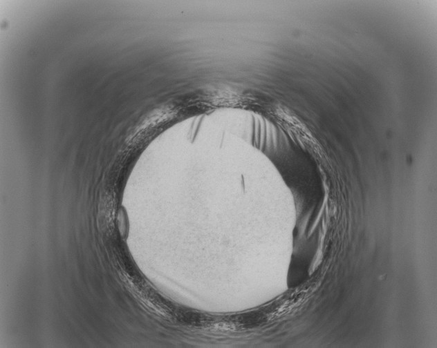 X0000086290593200704271804