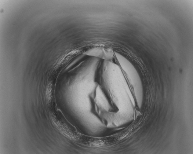 X0000086290600200704271804