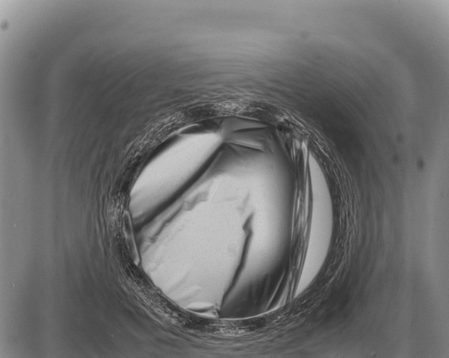 X0000086290601200704271804