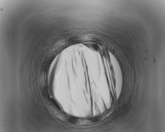 X0000086290605200704271804