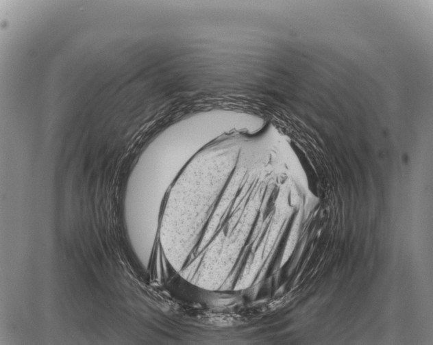 X0000086290608200704271804