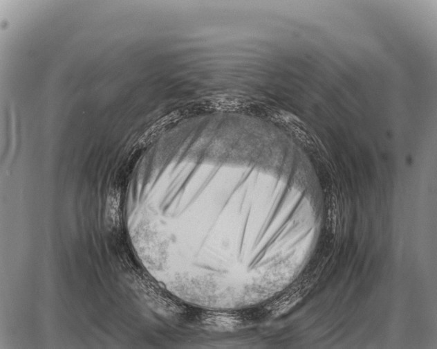 X0000086290610200704271804