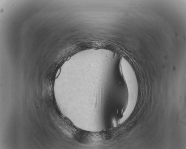 X0000086290613200704271804
