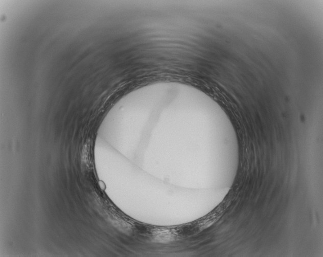X0000086290616200704271804