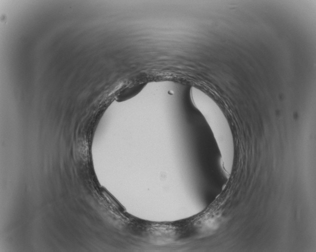X0000086290617200704271804