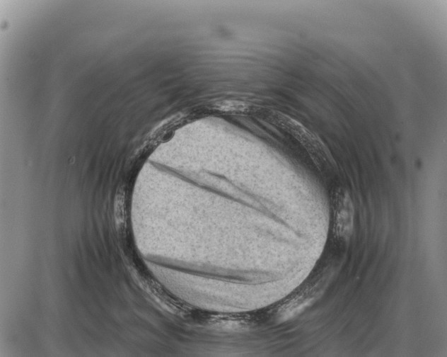 X0000086290620200704271803