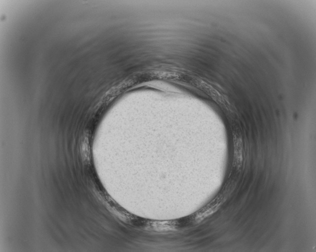 X0000086290622200704271803