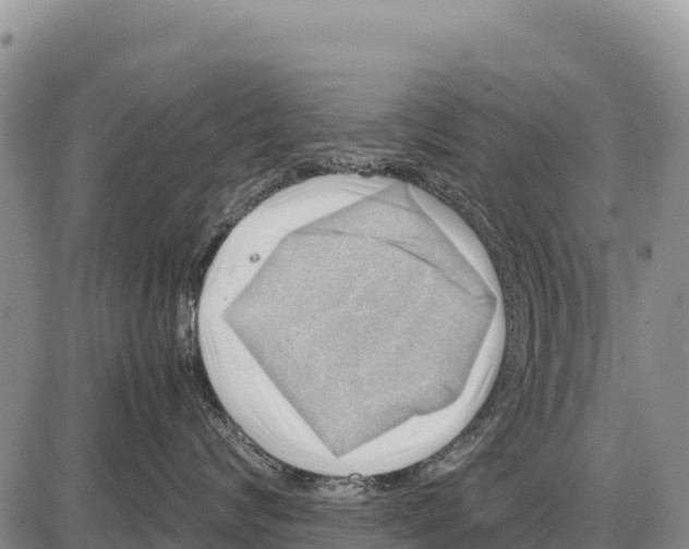 X0000086290624200704271803