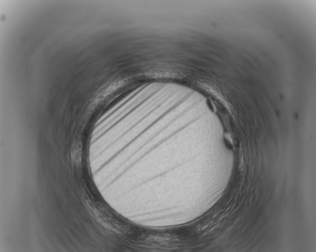 X0000086290631200704271803