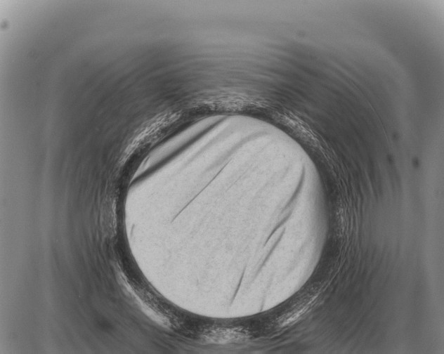 X0000086290638200704271803