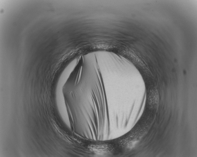 X0000086290639200704271803