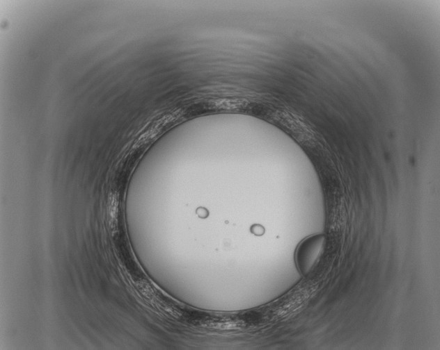 X0000086290646200704271803