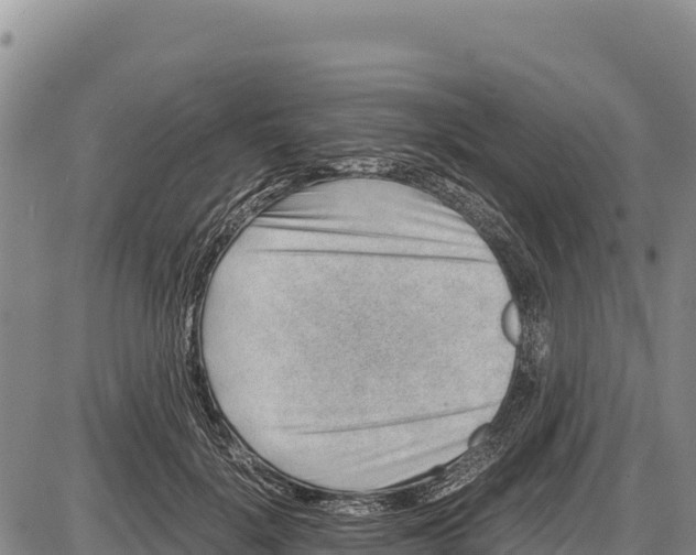 X0000086290652200704271803