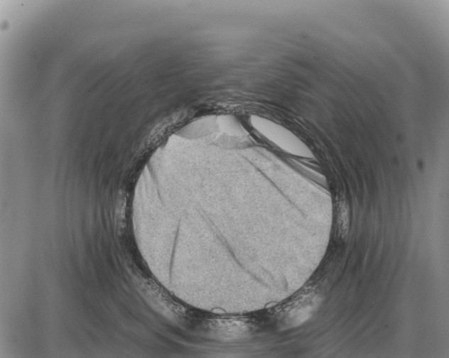 X0000086290668200704271803