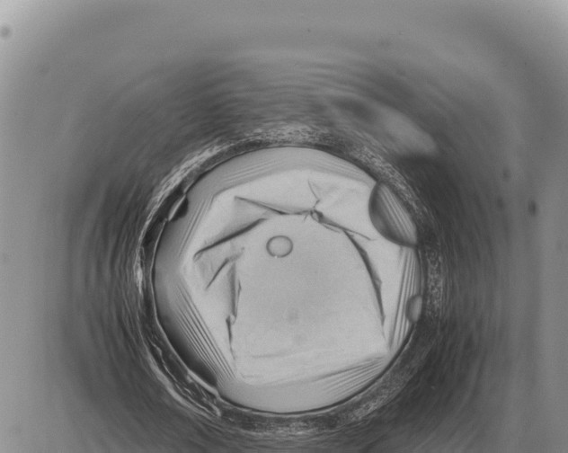 X0000086290674200704271803