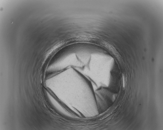 X0000086290675200704271803