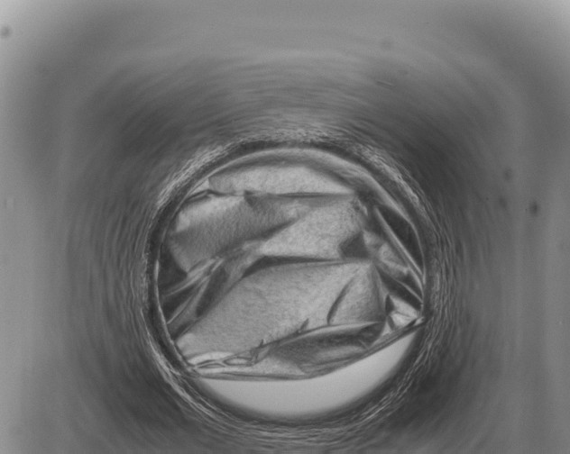 X0000086290677200704271803