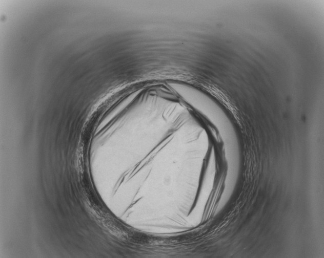 X0000086290680200704271803