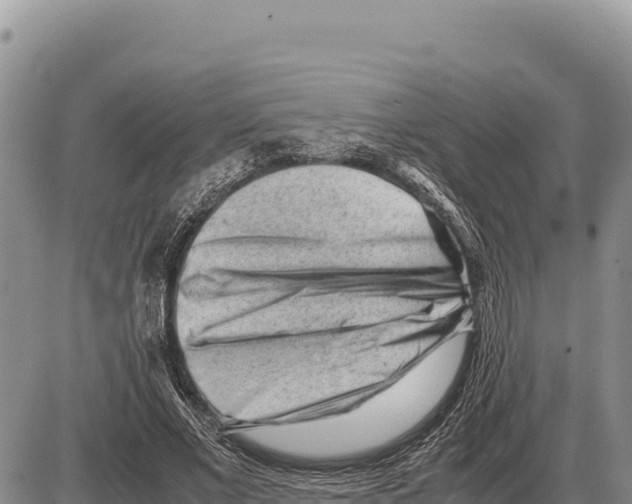X0000086290685200704271802