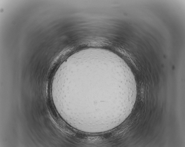 X0000086290686200704271802