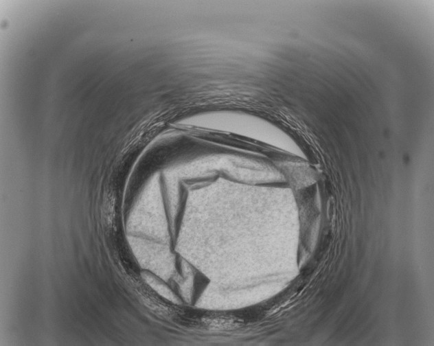 X0000086290693200704271802
