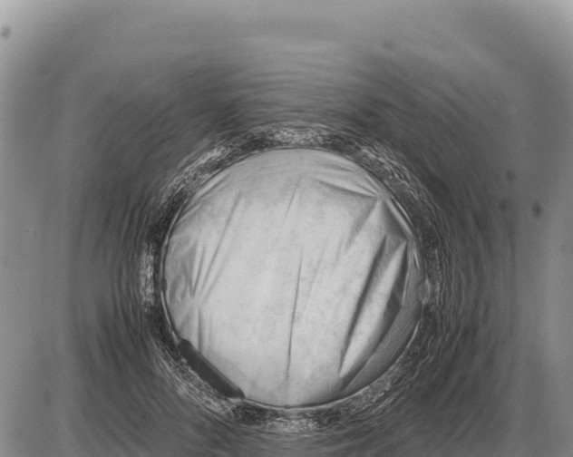 X0000086290696200704271802