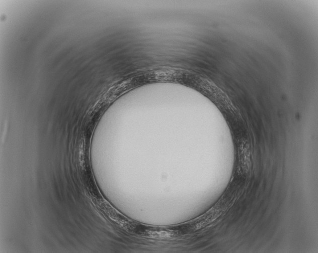X0000086290698200704271802