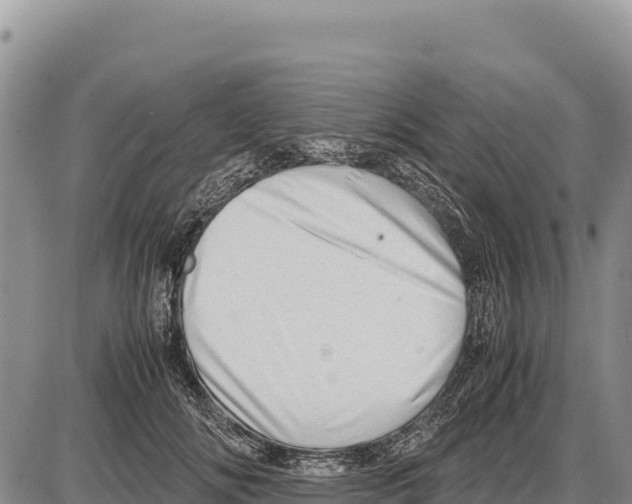 X0000086290702200704271802